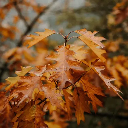 Dona Irene Al 아파트 만테이가스