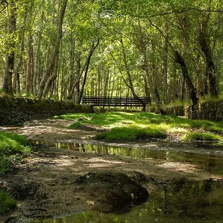 Διαμέρισμα Dona Irene Al