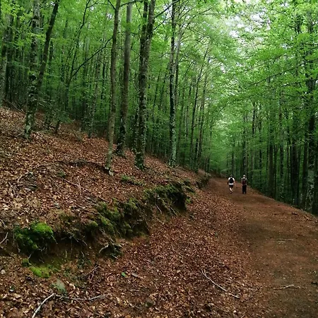 아파트 Dona Irene Al *