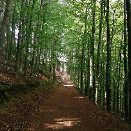 Dona Irene Al * 만테이가스