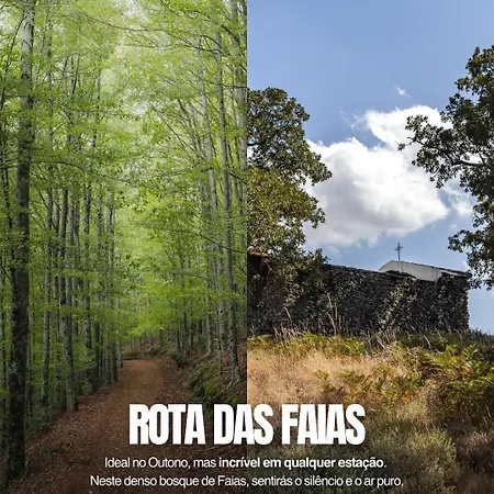 Dona Irene Al * Manteigas