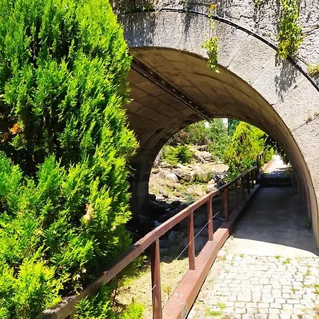 Dona Irene Al * 만테이가스