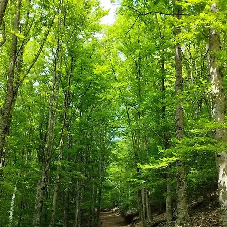 Dona Irene Al Διαμέρισμα