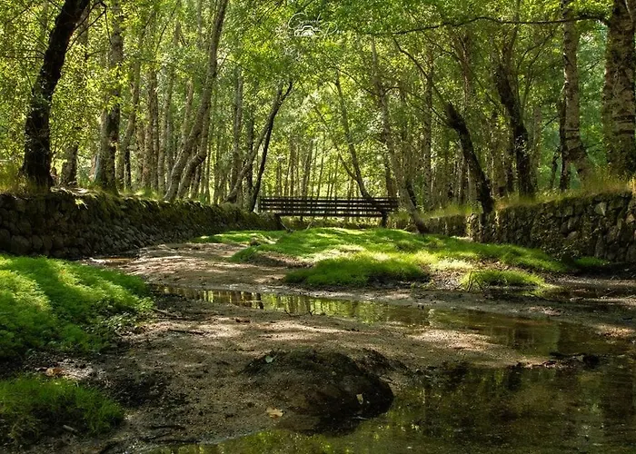 Апартаменты Dona Irene Al