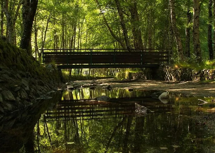 Dona Irene Al * Мантейгас