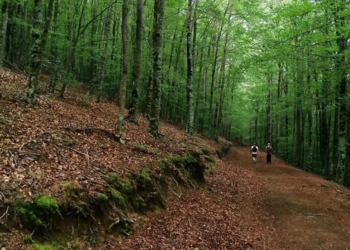 Апартаменты Dona Irene Al *