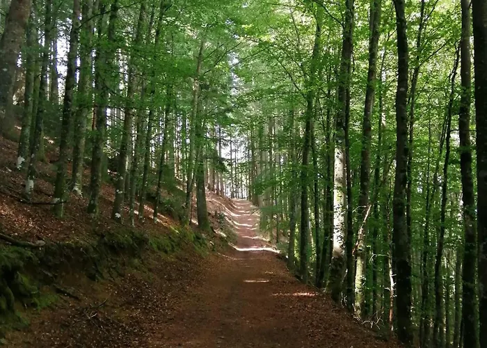 Dona Irene Al * Мантейгас