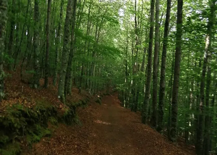 Апартаменты Dona Irene Al Мантейгас