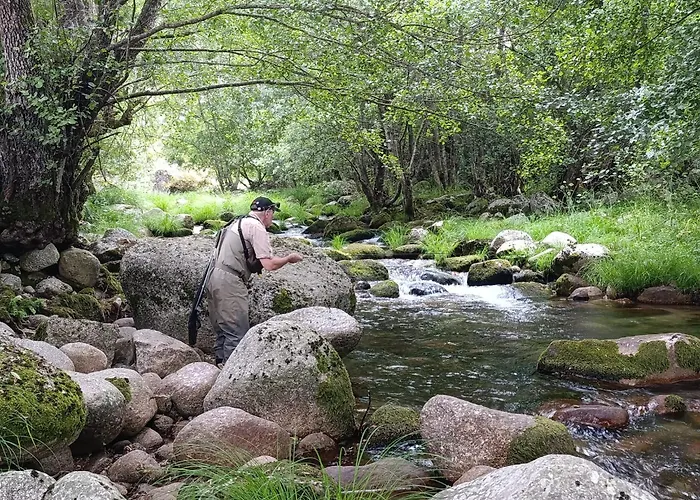 Апартаменты Dona Irene Al Мантейгас